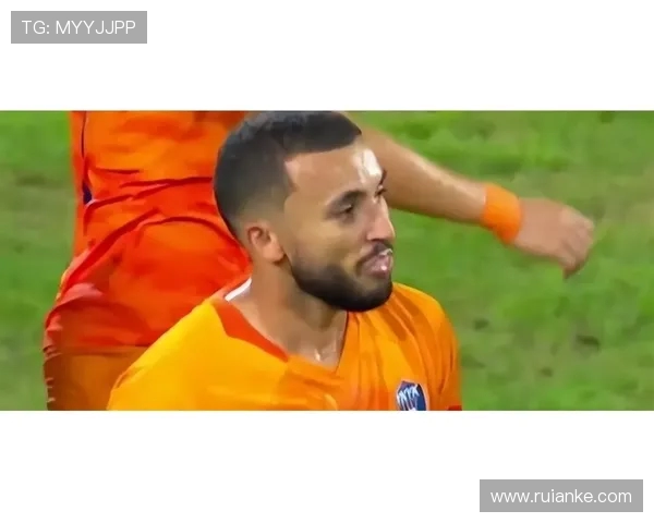 大连英博宣布与外援拉布亚德解约 转会市场迎来新变数